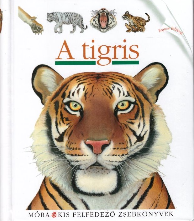 A tigris